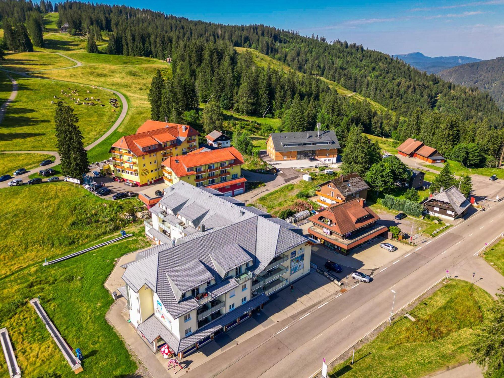 Feldberg Domizil - Residenz Grafenmatt Leilighet Rinken Eksteriør bilde